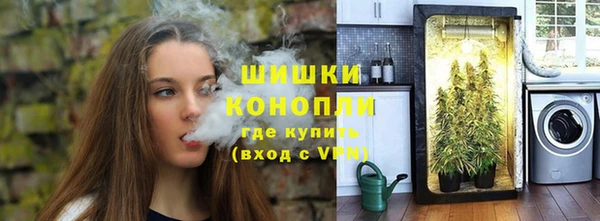 молекула духа Протвино